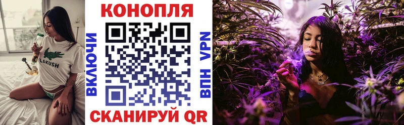 Купить где  Торжок  Конопля тримм 